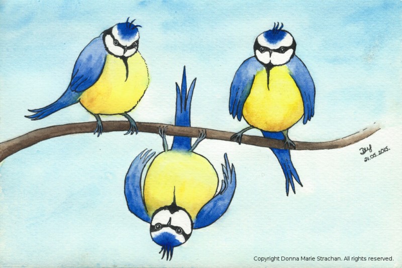 Three little birds cartoon
